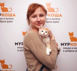 Выставка кошек в добрые руки «Неслучайная встреча»