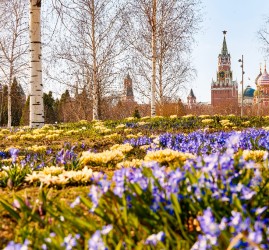 Топ-10 лучших событий на выходные 4 и 5 апреля в Москве 2026