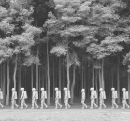 Выставка «Общее дело: от Фёдорова до звёзд»