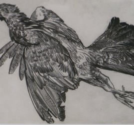 Выставка «От Москвы до Камчатки»