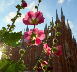 Фестиваль «ORGANичное лето» 2026