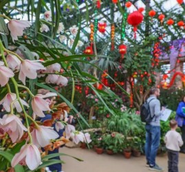 Китайский Новый год в «Аптекарском огороде» 2026