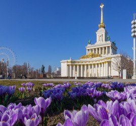 Топ-10 лучших событий на выходные 11 и 12 апреля в Москве 2026