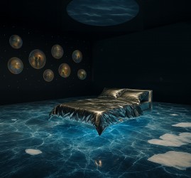 Инновационная мультисенсорная выставка-переживание «Сон в музее»