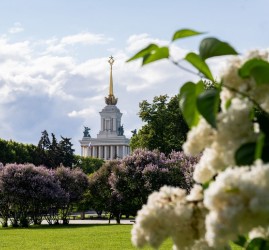 Топ-10 лучших событий на выходные 17 и 18 мая в Москве 2025