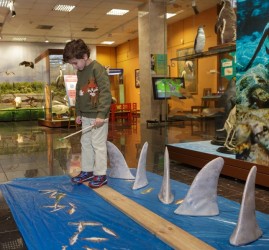 День российской науки в Дарвиновском музее 2026