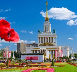 Фестиваль «Вкусы России» 2026