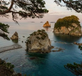 Выставка «Морские жители Земли Леопарда»