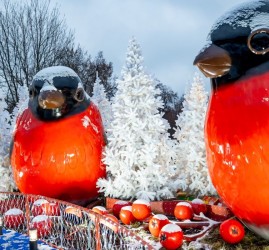 Зима на Воробьевых горах 2025-2026