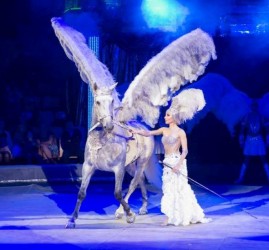 Цирковое шоу «Бурлеск!» 2019
