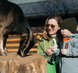 День весеннего равноденствия на Городской ферме ВДНХ 2026