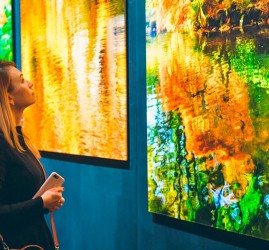 Выставка фотографии и скульптуры в Surround Art Gallery