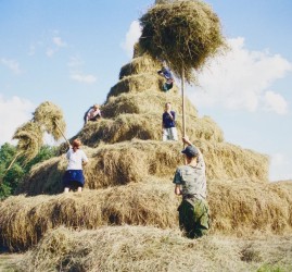 Выставка «Природа фотографии»