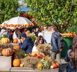 Топ-10 лучших событий на выходные со 2 по 4 ноября в Москве 2025