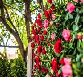 Фестиваль садов и цветов «Moscow Flower Show» 2020