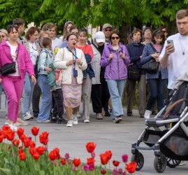 День любви, семьи и верности на ВДНХ 2025