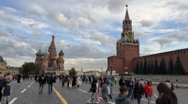 Заголовок статьи