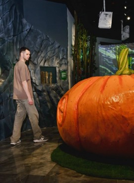 Музей рекордов, фактов и приключений «Рекордиум»