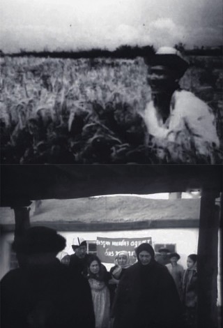 Материнское поле