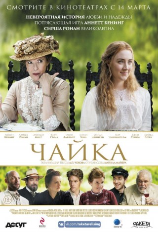 Чайка