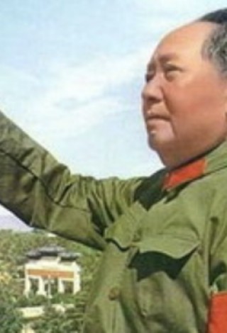 Программа «Пусть расцветают все цветы»
