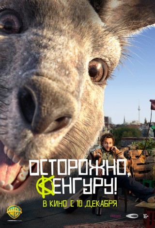Осторожно, Кенгуру!