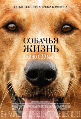 Детский кинолекторий. Собачья жизнь
