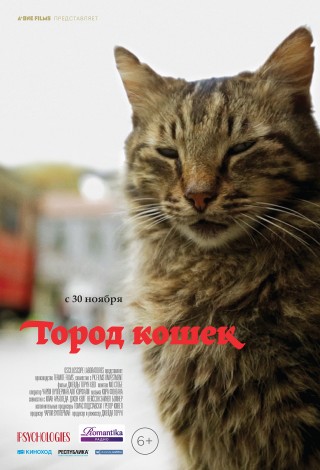 Город Кошек