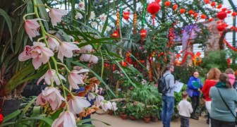 Китайский Новый год в «Аптекарском огороде» 2026