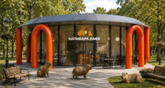 Открытие кафе с капибарами в парке «Сокольники»