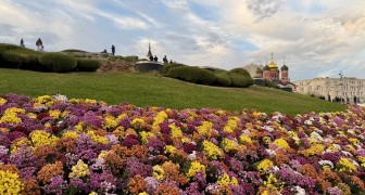 Топ-10 лучших событий на выходные 11 и 12 октября в Москве 2025