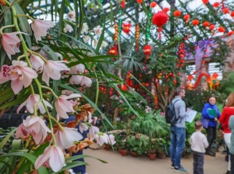 Китайский Новый год в «Аптекарском огороде» 2026