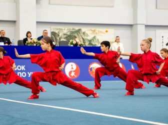 Фестиваль ушу: праздник искусства и спорта 2026