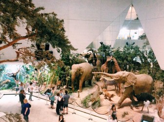 Акция «Московская музейная неделя»