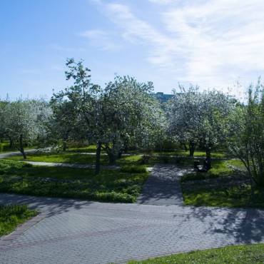 Парк &laquo;Ангарские пруды&raquo; фотографии