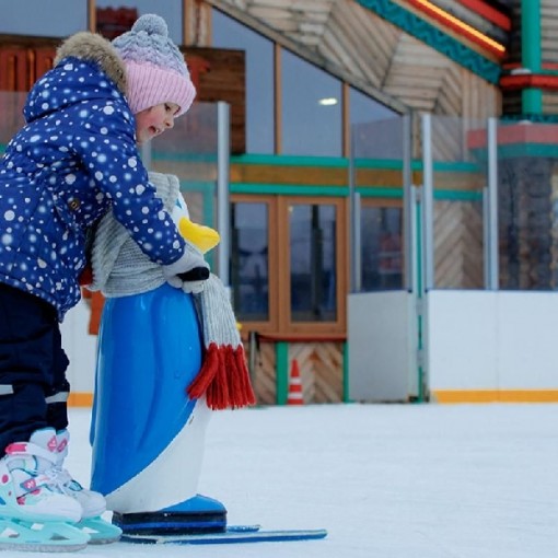 Бесплатные катки проекта «Московские сезоны» 2024-2025