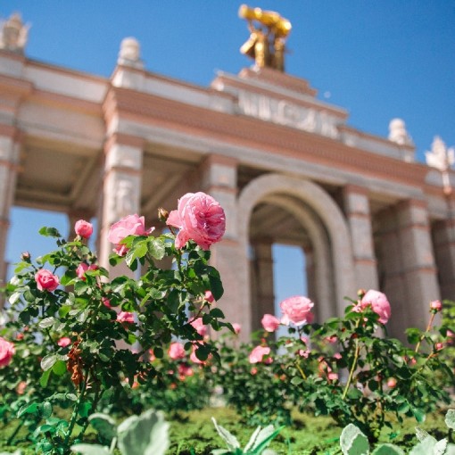Куда пойти с ребенком, куда сходить с детьми в Москве