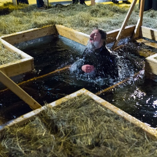 Крещенские купания на Дворцовом пруду в парке &laquo;Останкино&raquo; 2024