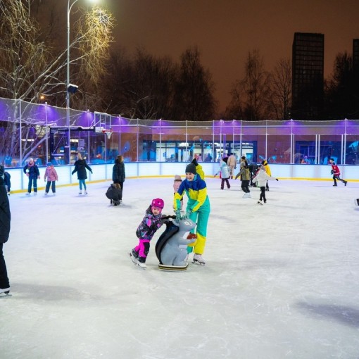 &laquo;Live!Каток&raquo; в Воронцовском парке 2023–2024