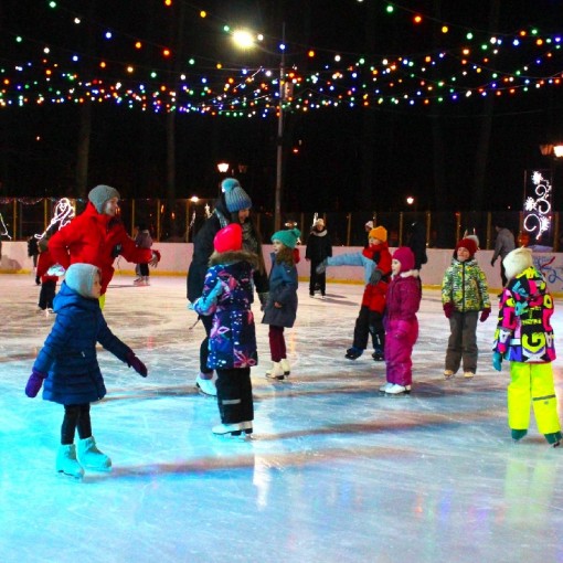 Каток «Метелица» в Бабушкинском парке 2024–2025