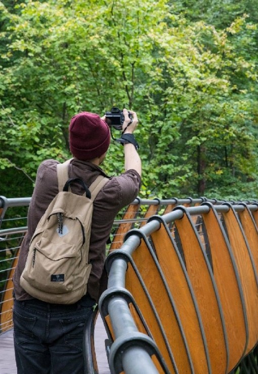 Воздушная экотропа на ВДНХ