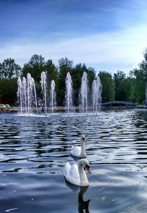 Лианозовский парк