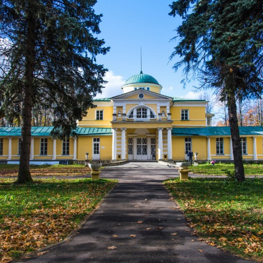 План усадьбы братцево