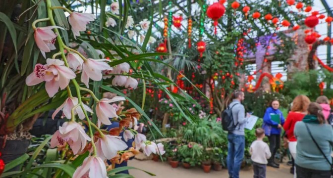 Китайский Новый год в «Аптекарском огороде» 2026