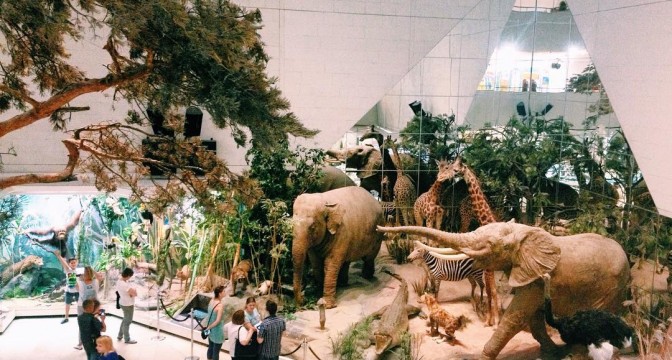 Акция «Московская музейная неделя»