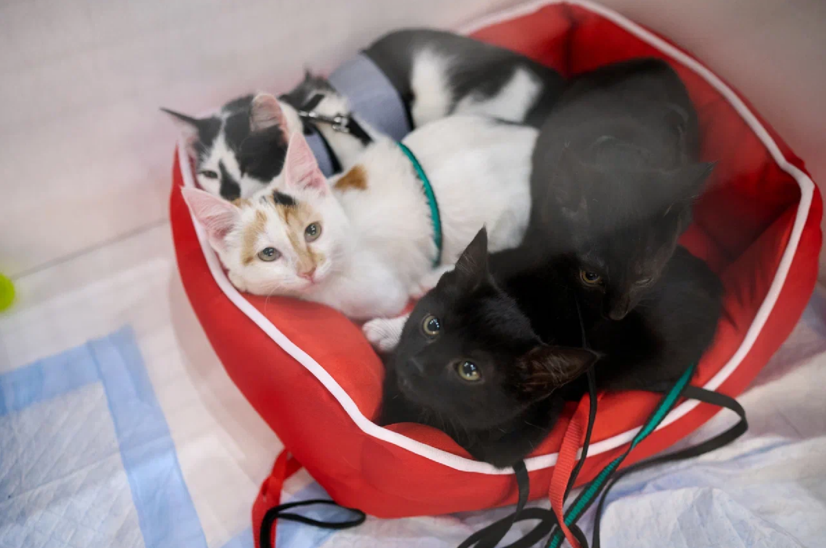 Фото: yunacenter.ru