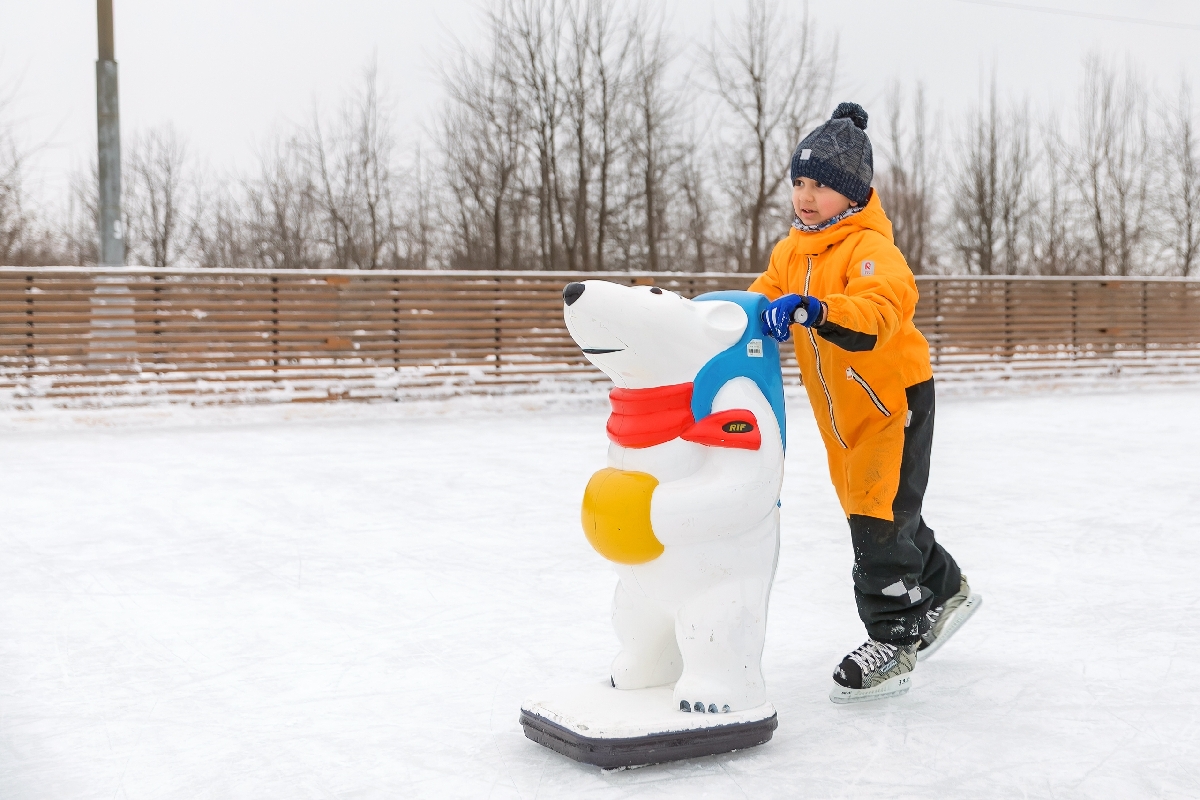 Фото: vk.com/mgomz