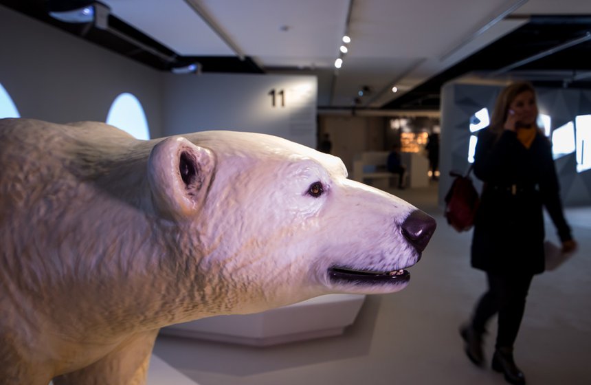 Выставка «Путешествие в Арктику»