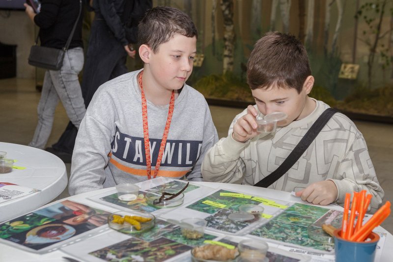 Фото: darwinmuseum.ru