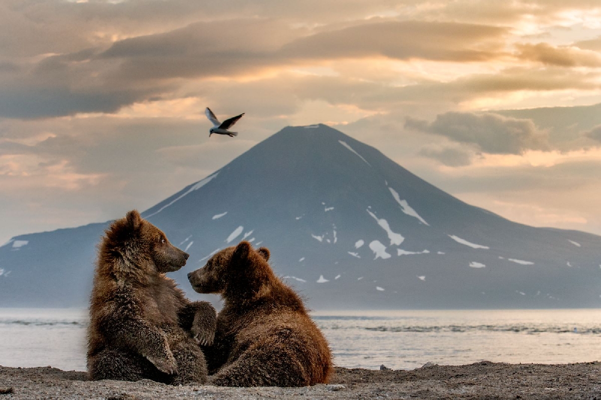 Фото: fotocult.ru